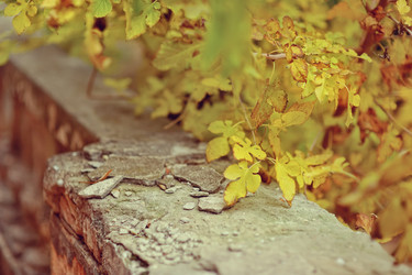 Similar image 5622591