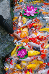 Similar image 5623910