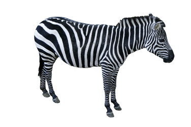 Similar image 5623913