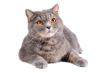 Similar image 5623934