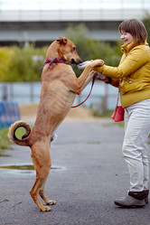 Similar image 5623951