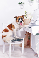 Similar image 5623952