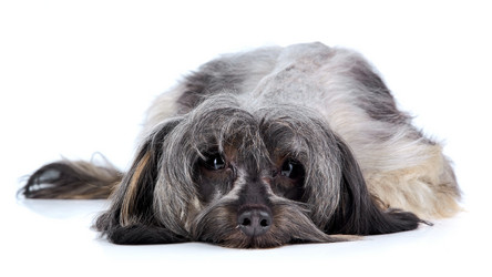 Similar image 5623954