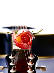 Similar image 5623957