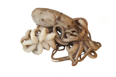 Similar image 5624005