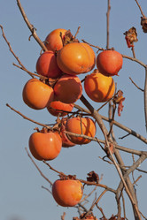 Similar image 5624022