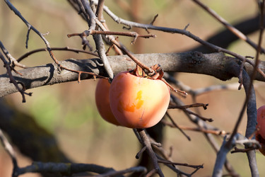 Similar image 5624024