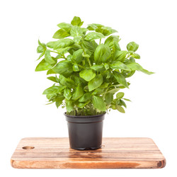 Similar image 5624145