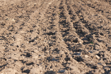 Similar image 5624249