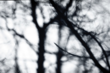 Similar image 5624254