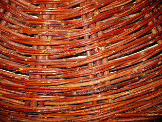 Similar image 5624357