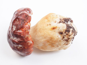 Similar image 5624394