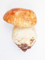 Similar image 5624396