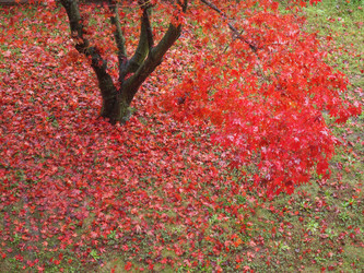 Similar image 5624440