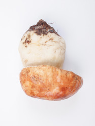 Similar image 5624463