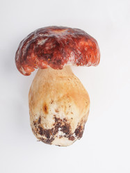 Similar image 5624511