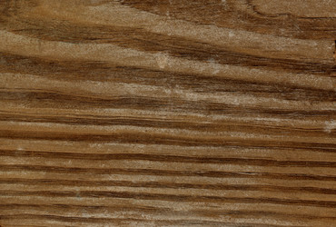 Similar image 5624525