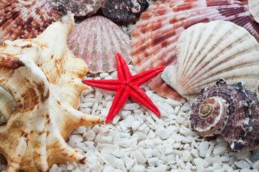 Similar image 5624593