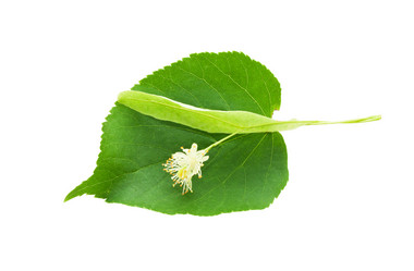 Similar image 5624604