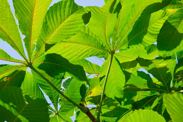 Similar image 5624624