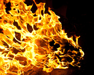 Similar image 5624629