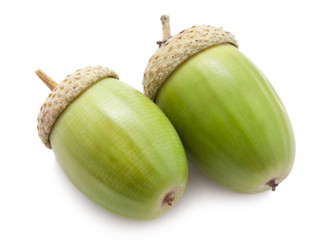 Similar image 5624630