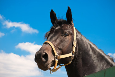 Similar image 5624636