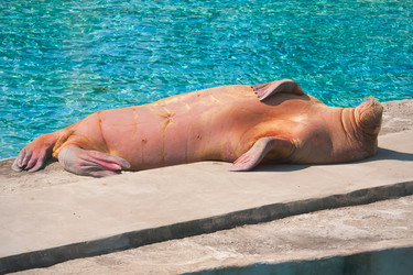 Similar image 5624649