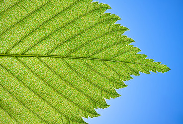 Similar image 5624653