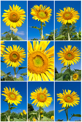 Similar image 5624666