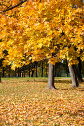 Similar image 5624681