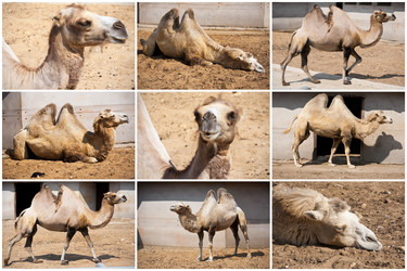 Similar image 5624690