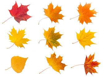 Similar image 5624691