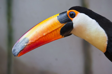 Similar image 5624712