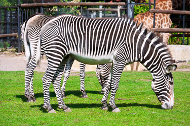 Similar image 5624721