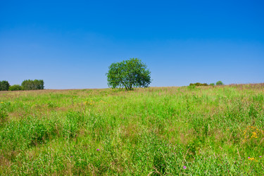 Similar image 5624728