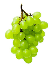 Similar image 5624750