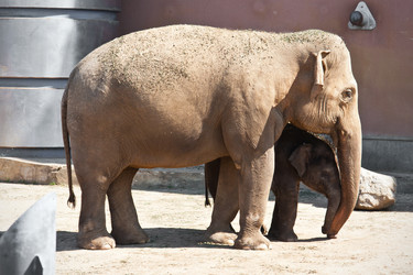 Similar image 5624758