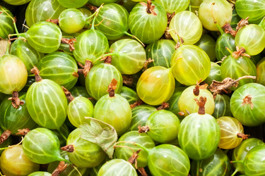 Similar image 5624763