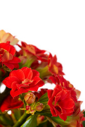 Similar image 5625594