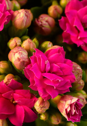 Similar image 5625595