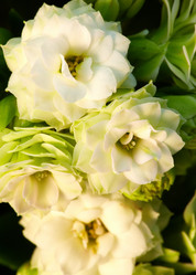 Similar image 5625596