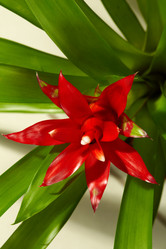 Similar image 5625597