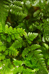 Similar image 5625598