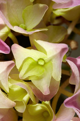 Similar image 5625609