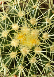 Similar image 5625610