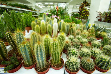 Similar image 5625622