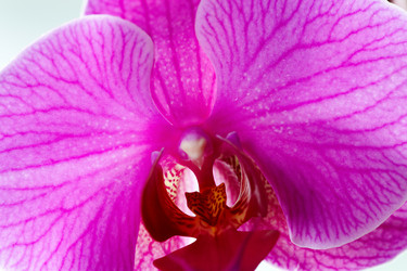 Similar image 5625623