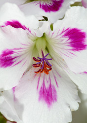 Similar image 5625625