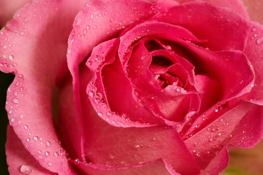 Similar image 5625775